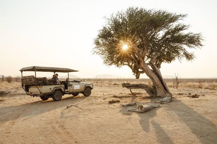 Đi safari Nam Phi phải tuân thủ các quy định về an toàn - Ảnh: safari frank
