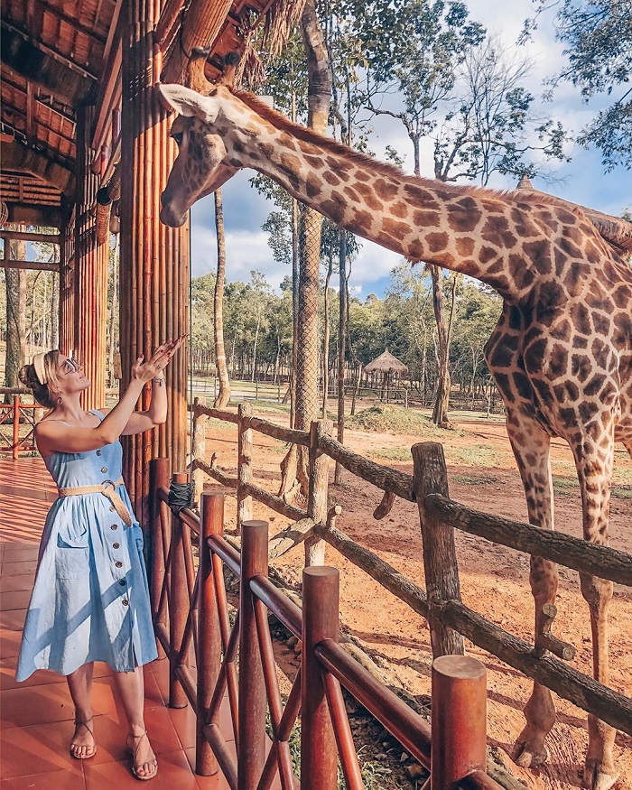 Khám phá thế giới hoang dã tại Vinpearl Safari Nên đi du lịch Phú Quốc hay Côn Đảo