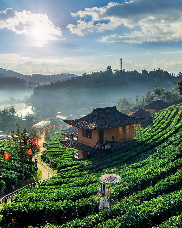 Làm sao để tập trung vào bản thân? Bạn chỉ cần tốt hơn mình là được