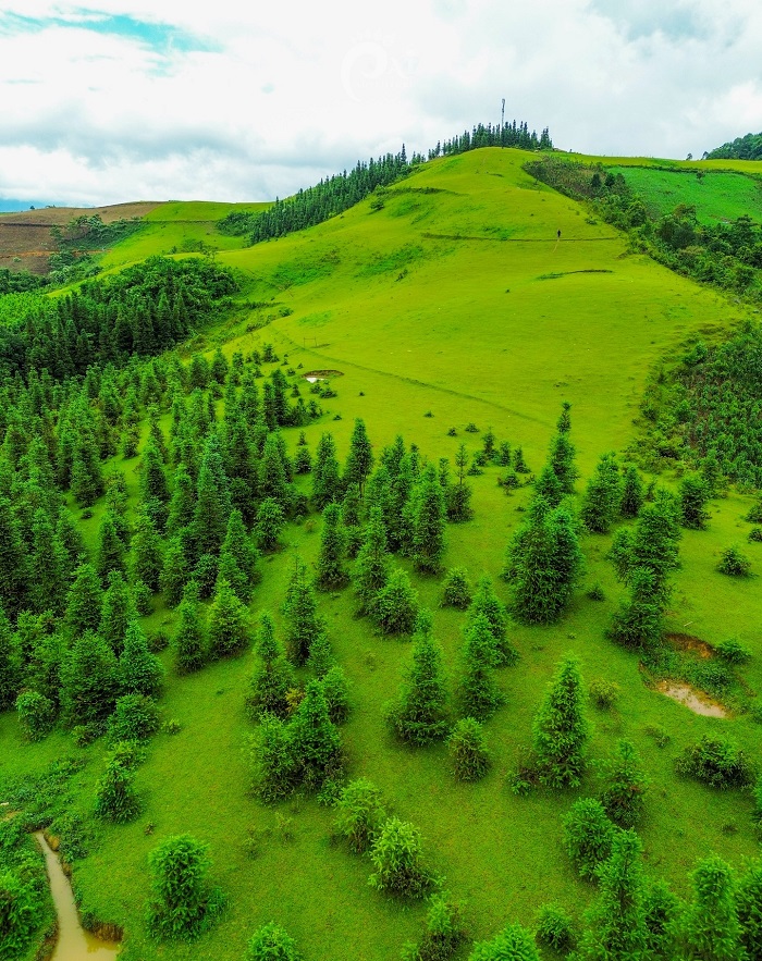 Thảo nguyên Cốc Sâm Lào Cai ở đâu?