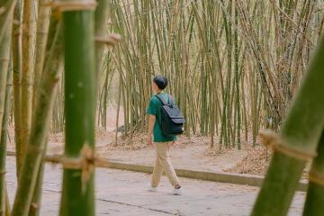 Làng tre Phú An Bình Dương - Điểm đến gần trung tâm Sài Gòn