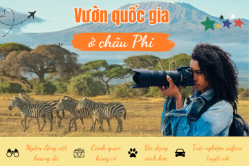 Trải nghiệm vườn quốc gia ở châu Phi - thiên đường động vật hoang dã