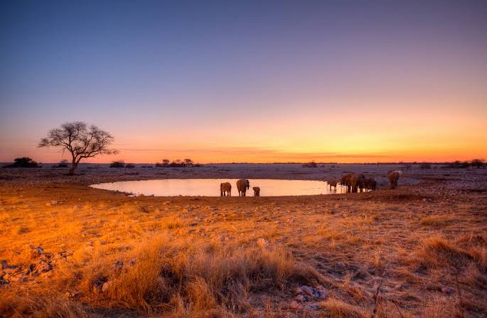 Hoàng hôn buông xuống ở Etosha - Ảnh: Etosha National Park