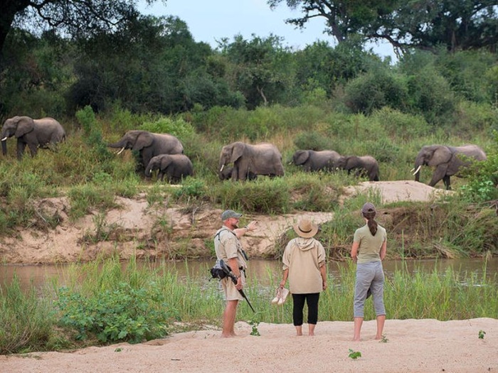 Du khách ghé Kruger xem động vật hoang dã - Ảnh: MIA