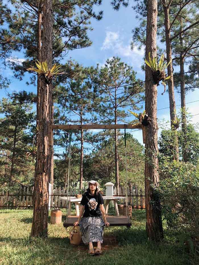 The Kon Tum pine forest villa has appeared as beautiful as Da Lat