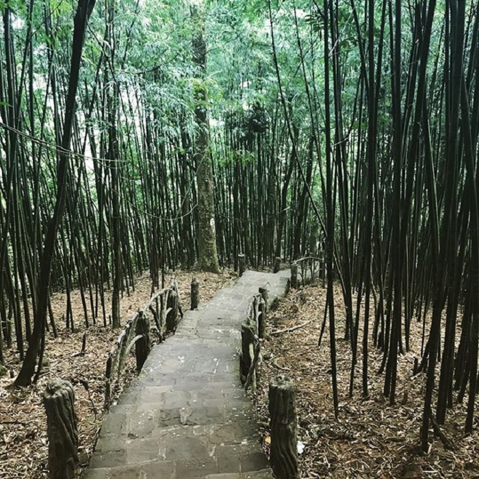 du lịch Tam Đảo 2 ngày 1 đêm