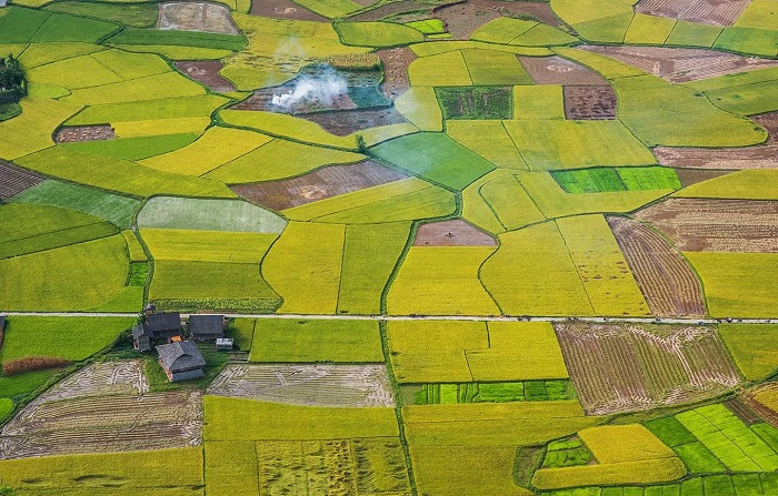 Du lịch Việt Nam tuyệt đẹp trong mùa lúa chín tháng 10 Du lịch Việt Nam tuyệt đẹp trong mùa lúa chín tháng 10