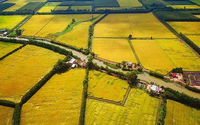 Du lịch Việt Nam tuyệt đẹp trong mùa lúa chín tháng 10 Du lịch Việt Nam tuyệt đẹp trong mùa lúa chín tháng 10