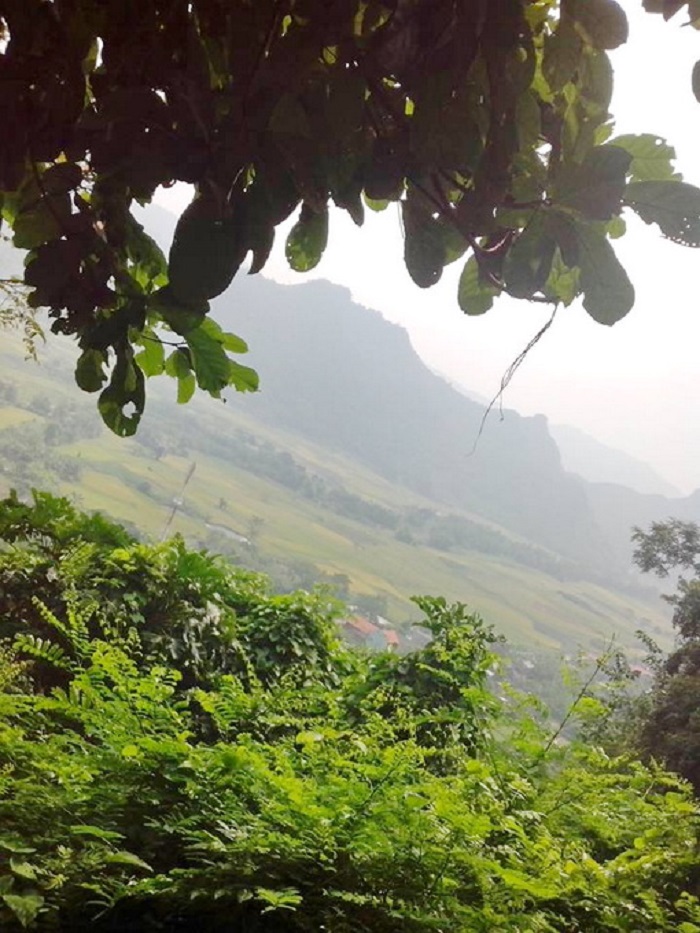 Hang Phượng Hoàng – viên ngọc quý của vùng đất Thái Nguyên