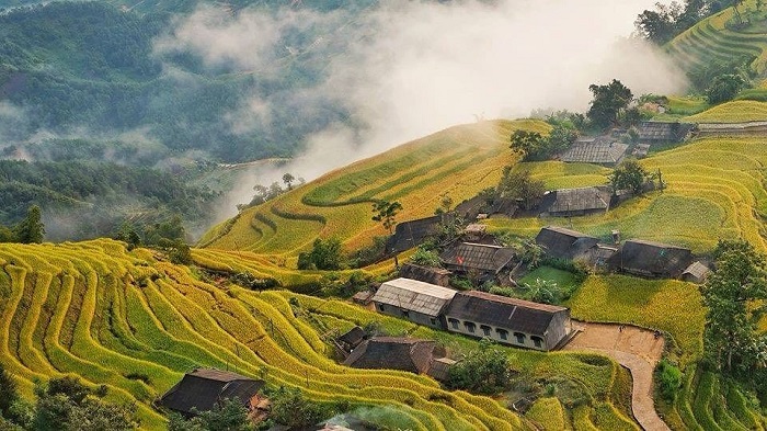 Những cung đường trekking vào mùa thu đẹp nhất ở Việt Nam