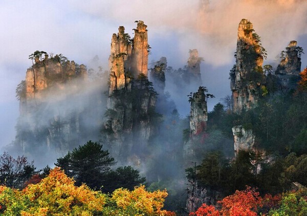 rừng cây mùa thu ở Trung Quốc