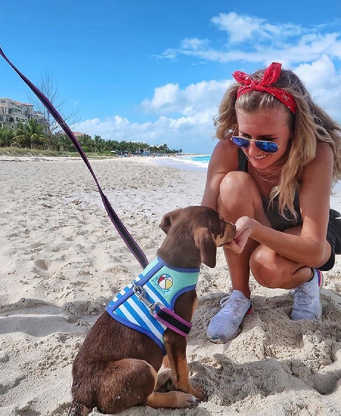 Nhiều du khách cho biết, chuyến du lịch vùng biển Caribbean của họ trở nên hoàn hảo hơn với hoạt động chơi cùng với những chú chó 