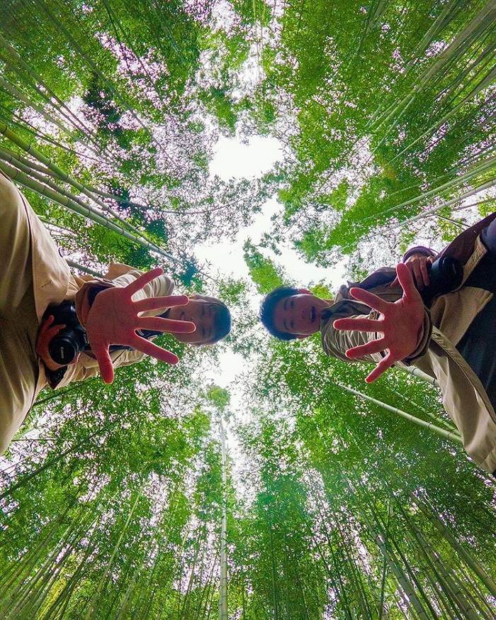  rừng tre Arashiyama với mê cung xanh mướt