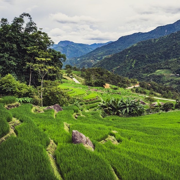 bãi đá cổ Sapa