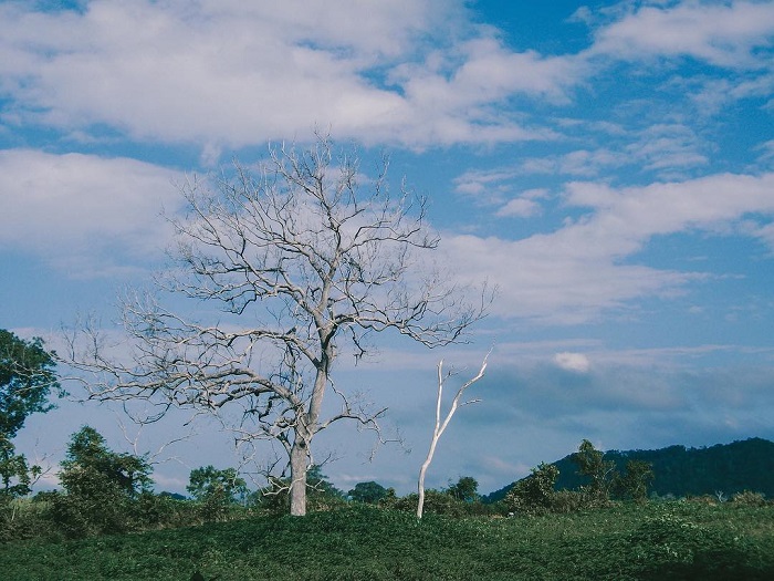 cao nguyên Vân Hòa