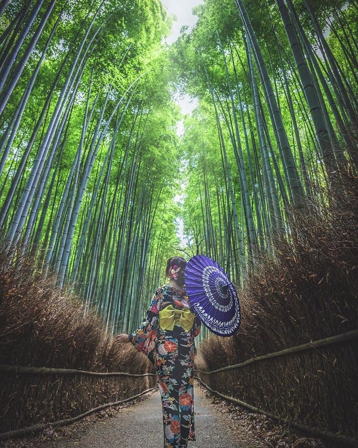 rừng tre Arashiyama Nhật Bản