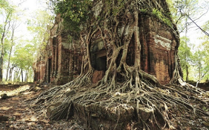 Đền Ta Prohm – Nơi lưu giữ ma thuật từ chiếc đũa phép của phù thủy