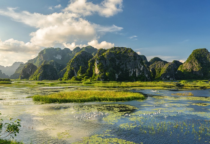 đồng cừu Gia Hưng