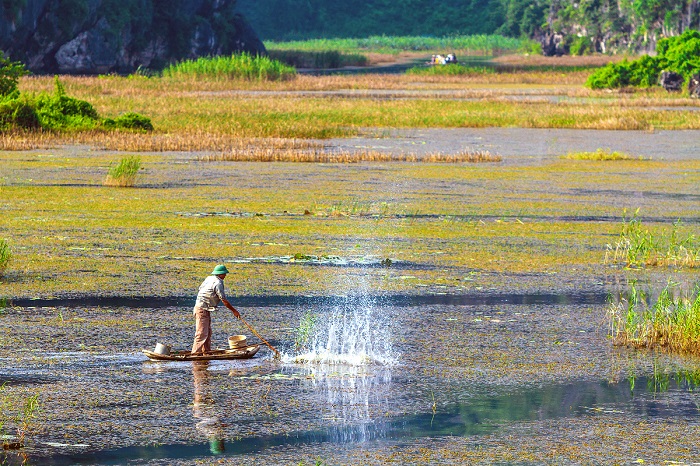 đồng cừu Gia Hưng