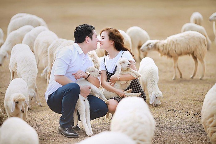 đồng cừu Gia Hưng