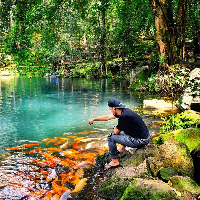 hồ cá chép Telaga Biru Cicerem 