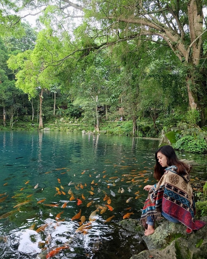 hồ cá chép Telaga Biru Cicerem 