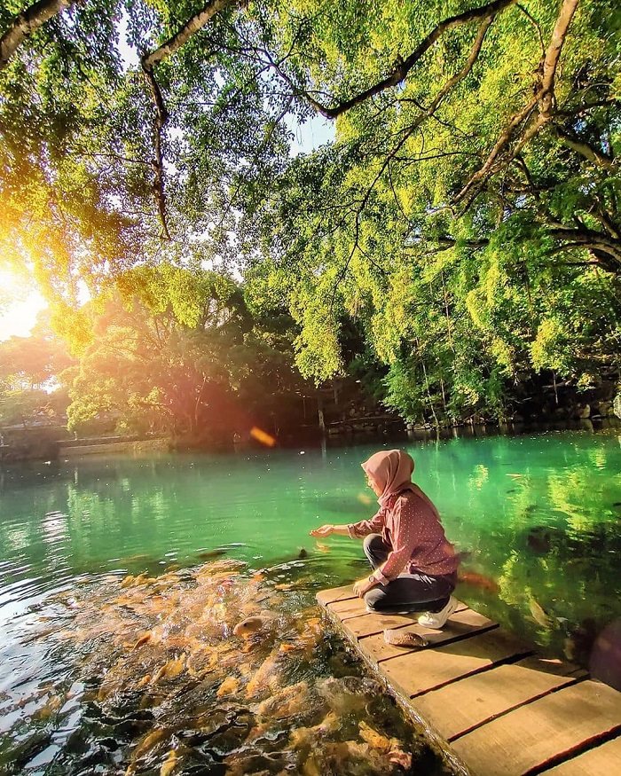 hồ cá chép Telaga Biru Cicerem 