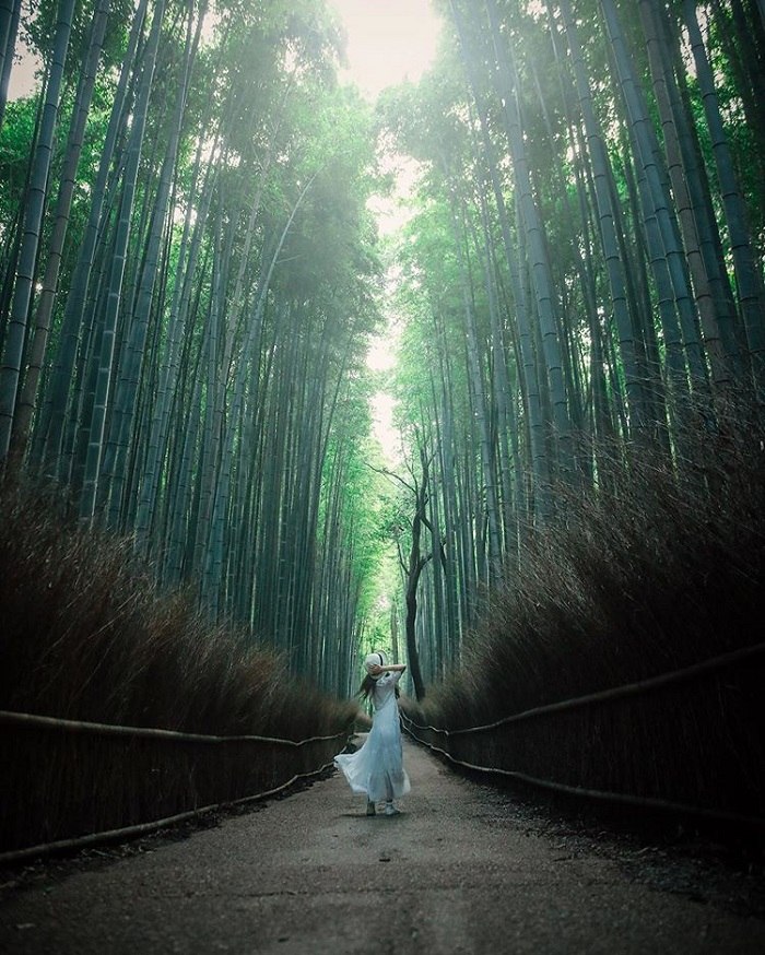 Rừng tre Arashiyama tuyệt đẹp 