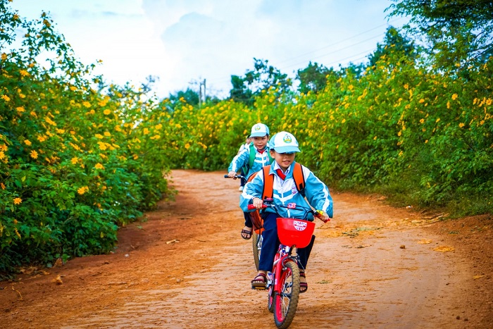 mùa hoa dã quỳ Tây Nguyên 