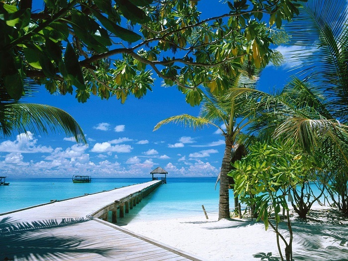 Hòn đảo xanh cayo coco