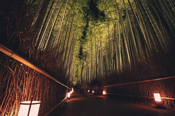rừng tre Arashiyama Nhật Bản ban đêm 