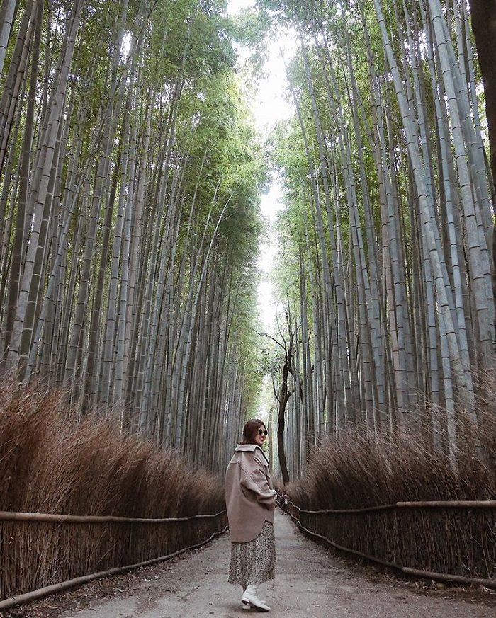Rừng tre Arashiyama là điểm du lịch nổi tiếng