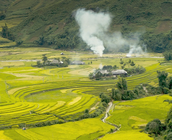 rừng trúc Mù Cang Chải