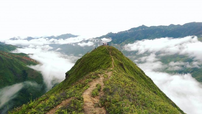 sống lưng khủng long