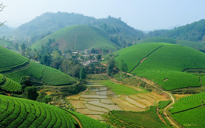 Suối Giàng Yên Bái