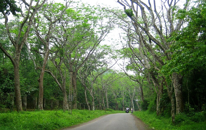 trekking rừng Mã Đà Đồng Nai