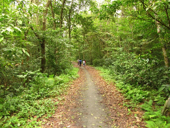 Trekking Ma Da Dong Nai Forest