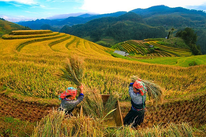 bản Lao Chải