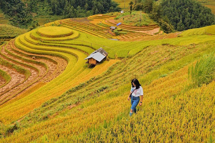 bản Lao Chải