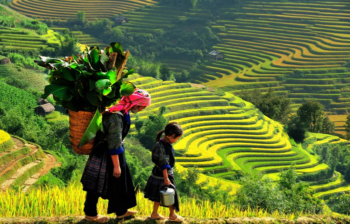 bản Lao Chải