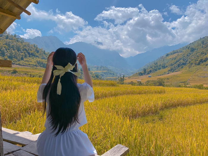  In Nam Cang, visitors will be mesmerized by golden rice fields season. Photo: vietnamtourism 