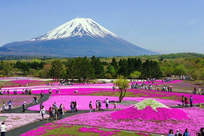 công viên quốc gia ở Nhật Bản Fuji Hakone Izu