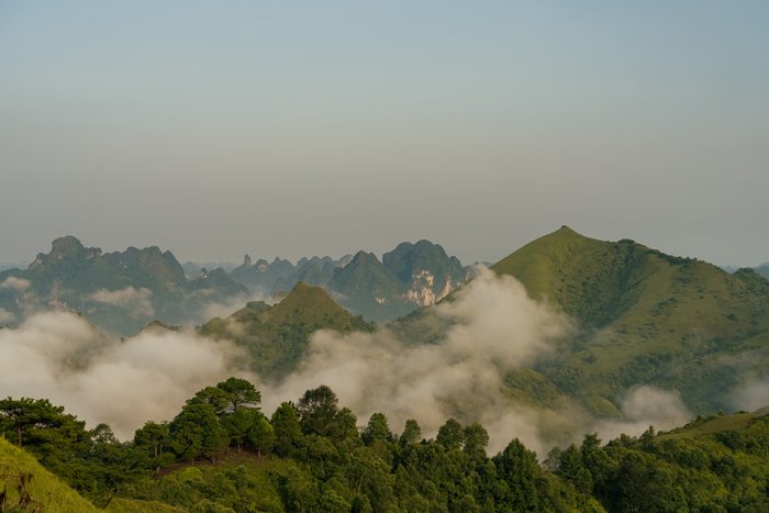 Đồi thông Khau Lừa Cao Bằng 