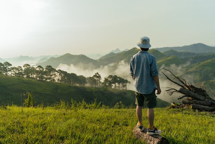 Đồi thông Khau Lừa Cao Bằng 