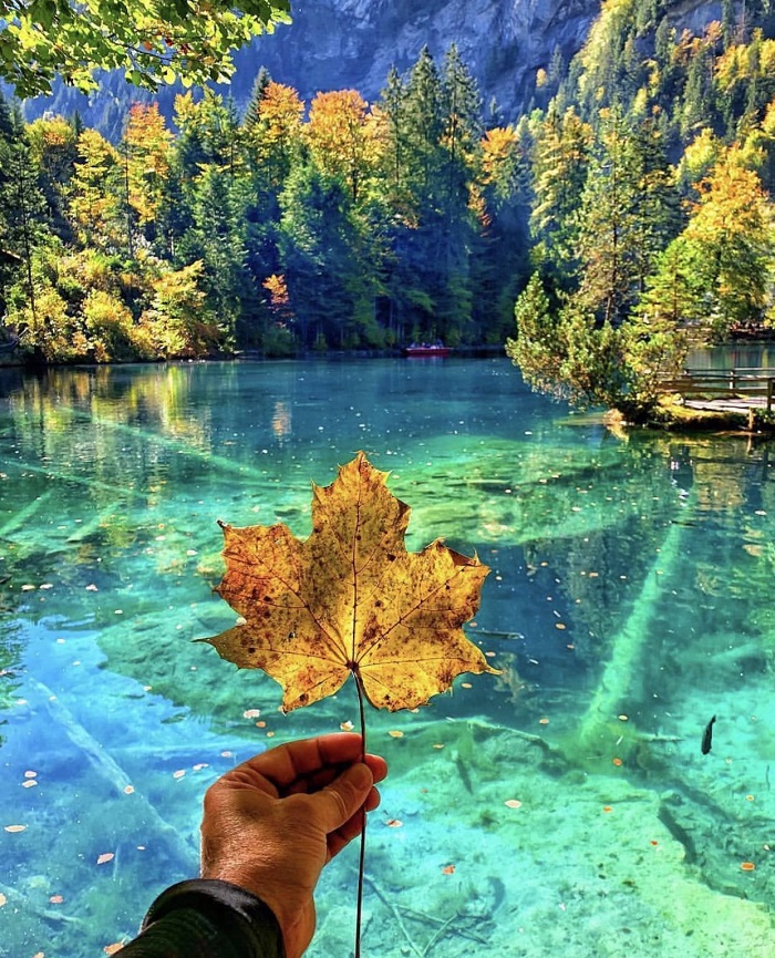 Đắm mình trong vẻ mộng mơ của những hồ nước ở Thụy Sĩ đẹp nhất