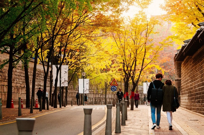Mùa thu ở Hàn Quốc check in phố Deoksugung