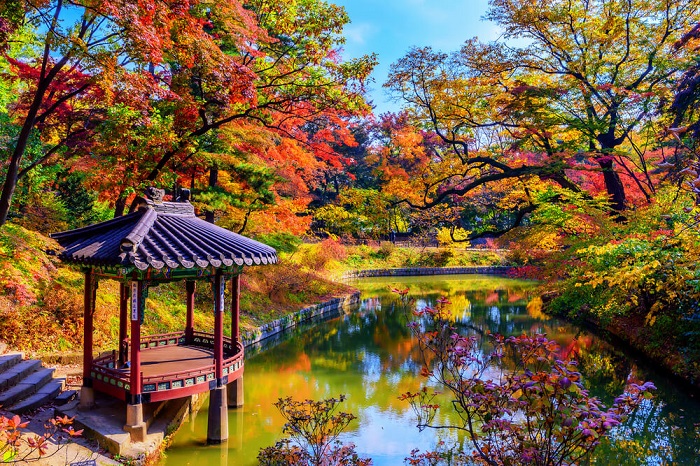 Mùa thu ở Hàn Quốc check in Cung điện Changdeokgung