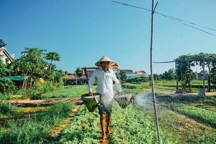 Những trải nghiệm du lịch ở Hội An được du khách truyền tai nhau không thể bỏ lỡ trong kỳ nghỉ tại xứ Quảng hấp dẫn