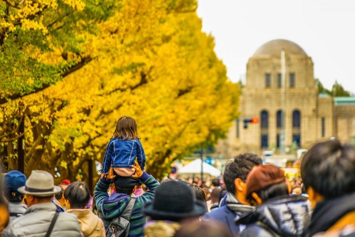Mùa Thu tại Meiji - jingu Gaien được coi là địa điểm ngắm lá vàng đẹp nhất ở Nhật Bản