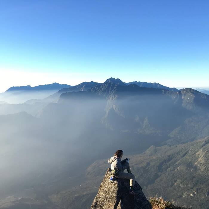 ‘Săn cảnh’ đẹp tựa xứ mơ tại đỉnh Cú Nhù San quanh năm sương mờ
